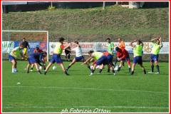 AAC - ATLETICO GALLO