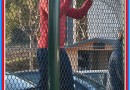 Image00208