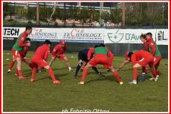 COLLI - JESINA