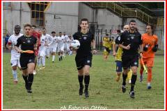 COLLI - URBINO