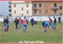 grottammare - aac colli