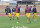 PLAY OFF civitanovese - aa colli 05-05-19