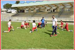 SANGIUSTESE - COLLI