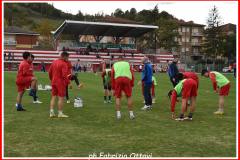 URBANIA - COLLI